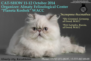 для сайта WACC