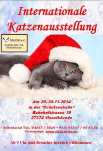 10561616_371694552996531_6390114075087411006_n