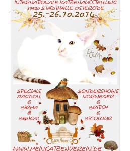 10593190_748286931905026_5606982720071740920_n