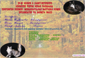 pro100tak-3_9_2014-15_2_1