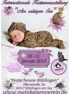 1012965_772576396142746_1680101800843554328_n