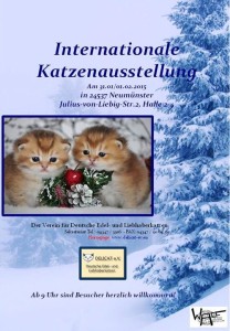 10860963_395891300576856_7874031742771208859_o