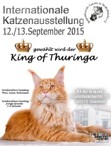 10959895_757747334320959_6794160090488170101_n