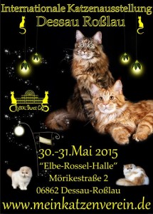 10991163_819311231469262_671997227215178523_n