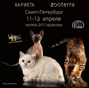 11036449_840942825952738_5351448199112250391_n