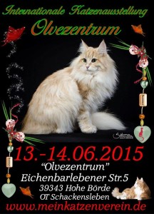 10628341_845227718877613_3144791030664231667_n