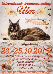 11235799_876809285719456_7917738998484046816_n