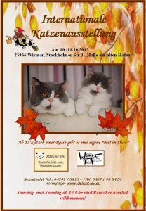 11210391_465143460318306_4724065792729605068_n