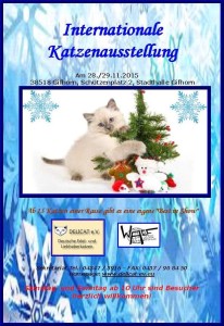 12144880_523548754477776_1929527745579901847_n