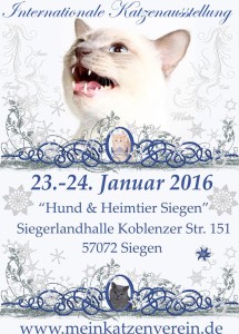 10174871_958879787512405_3525207260899929618_n