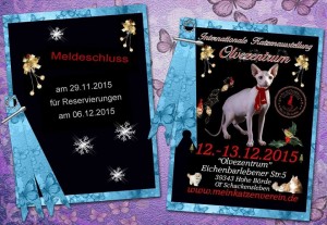 12294876_946890125378038_906265737928776760_n