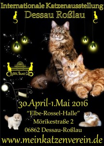 1620355_959483537452030_7244314146056504819_n