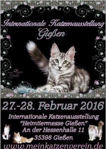 1935843_958922500841467_3051996684530437468_n