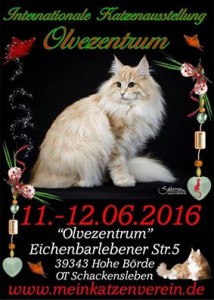 12643015_978250858908631_8553503339367921162_n