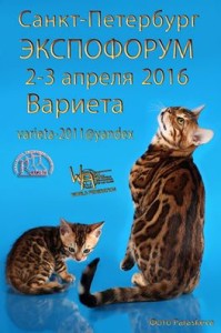 12650921_1002637973116555_6605810298545898592_n