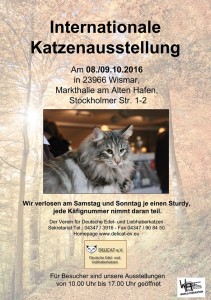 13567513_1341408032554281_3190547437614135282_n