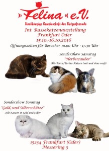 13606657_687815034690350_8354110326028967091_n