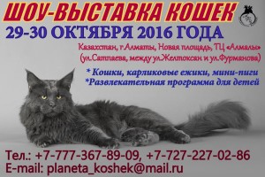 14355018_1765079810433467_6806716477220183755_n