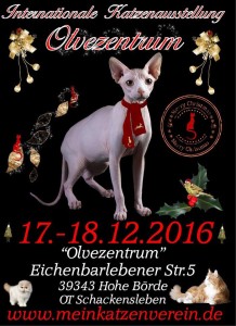 14991896_243304156086752_8952384729208085673_n