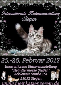 15355739_257635327986968_4937796244174628345_n