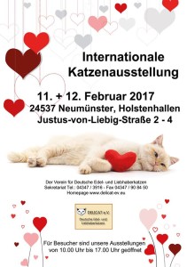 15940713_1545172878844461_7060284644277000510_n